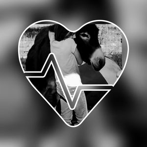 Meet your Posher, Patience